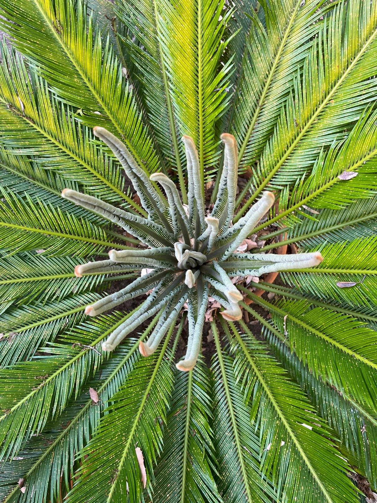 WhatsApp Image 2025-06-24 at 15.00.50.jpeg