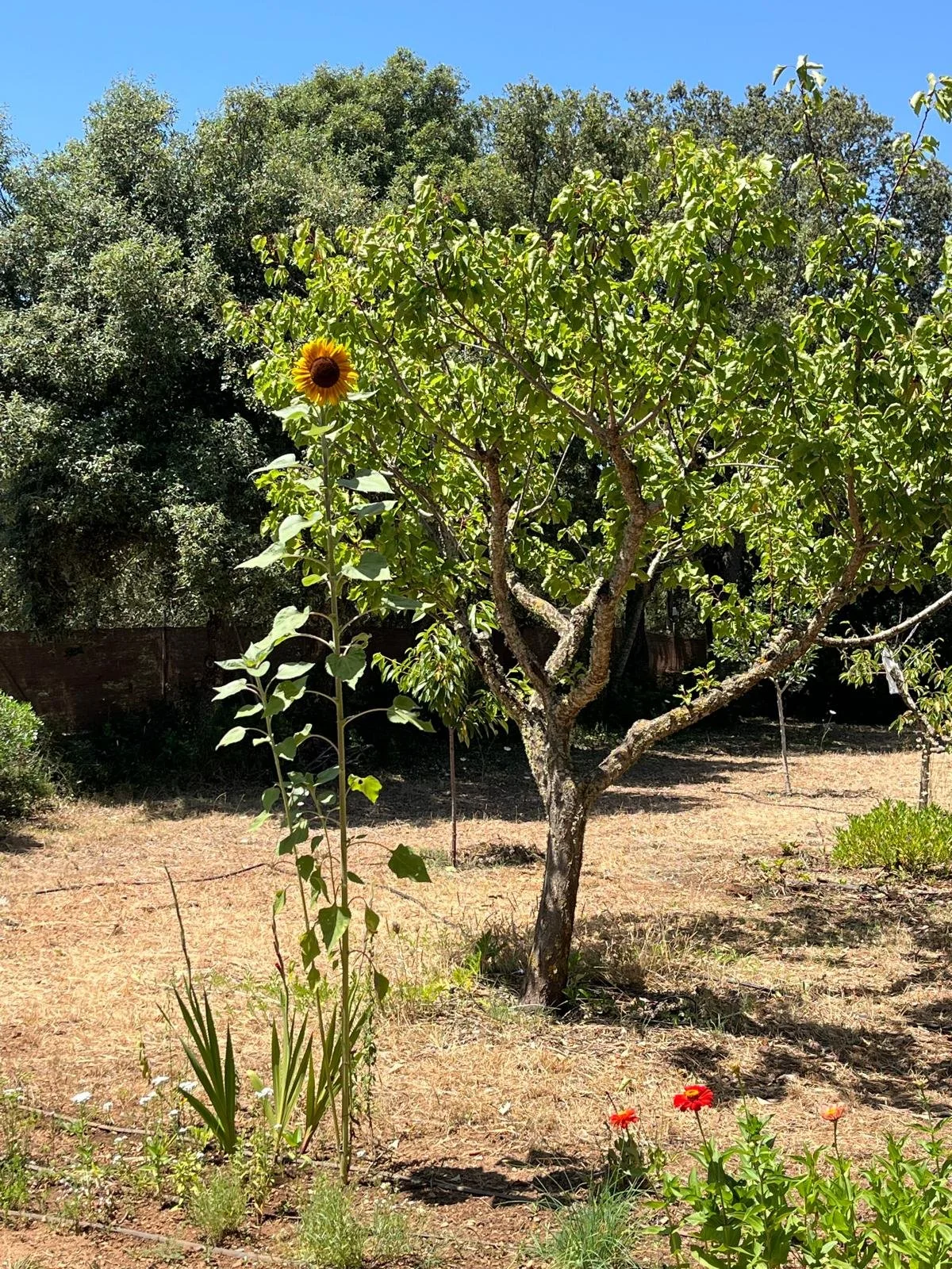 WhatsApp Image 2025-06-25 at 12.52.52.jpeg