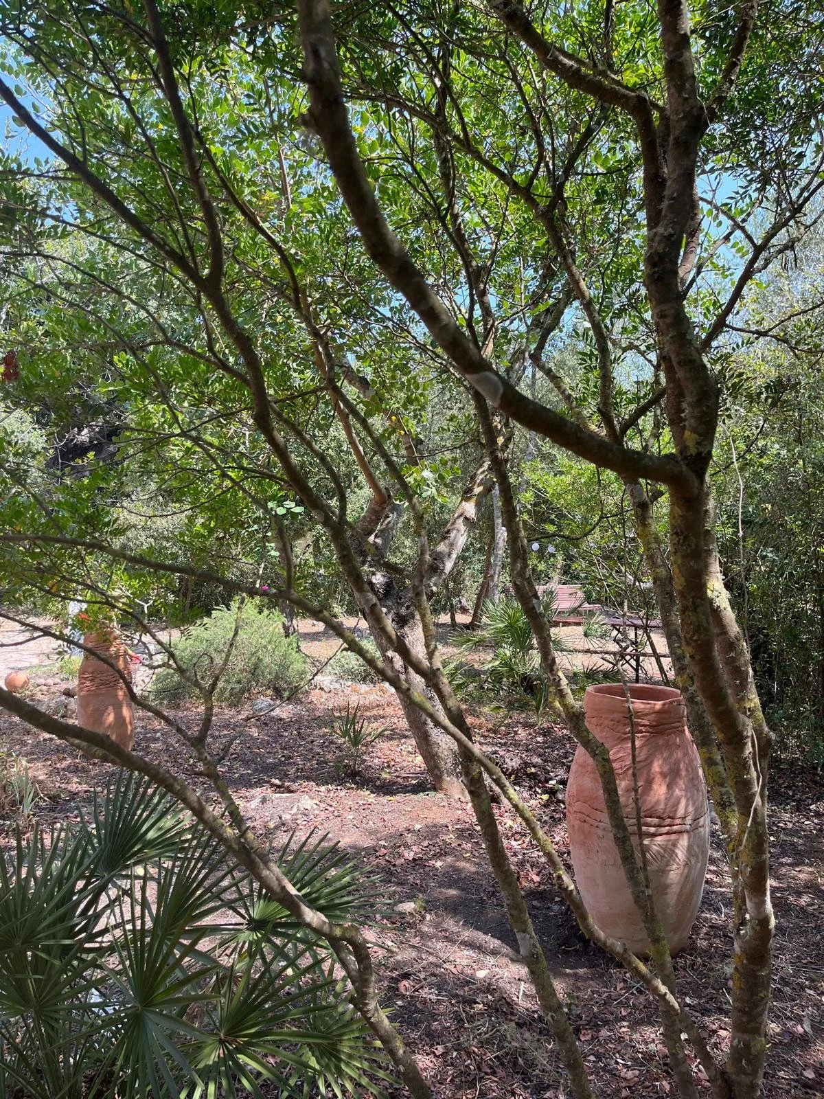 WhatsApp Image 2025-08-13 at 17.31.33.jpeg