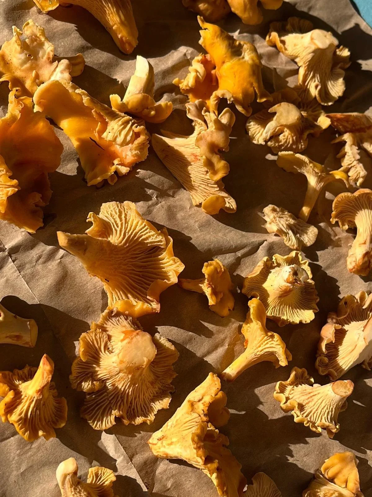 WhatsApp Image 2025-02-07 at 19.45.03 (5).jpeg