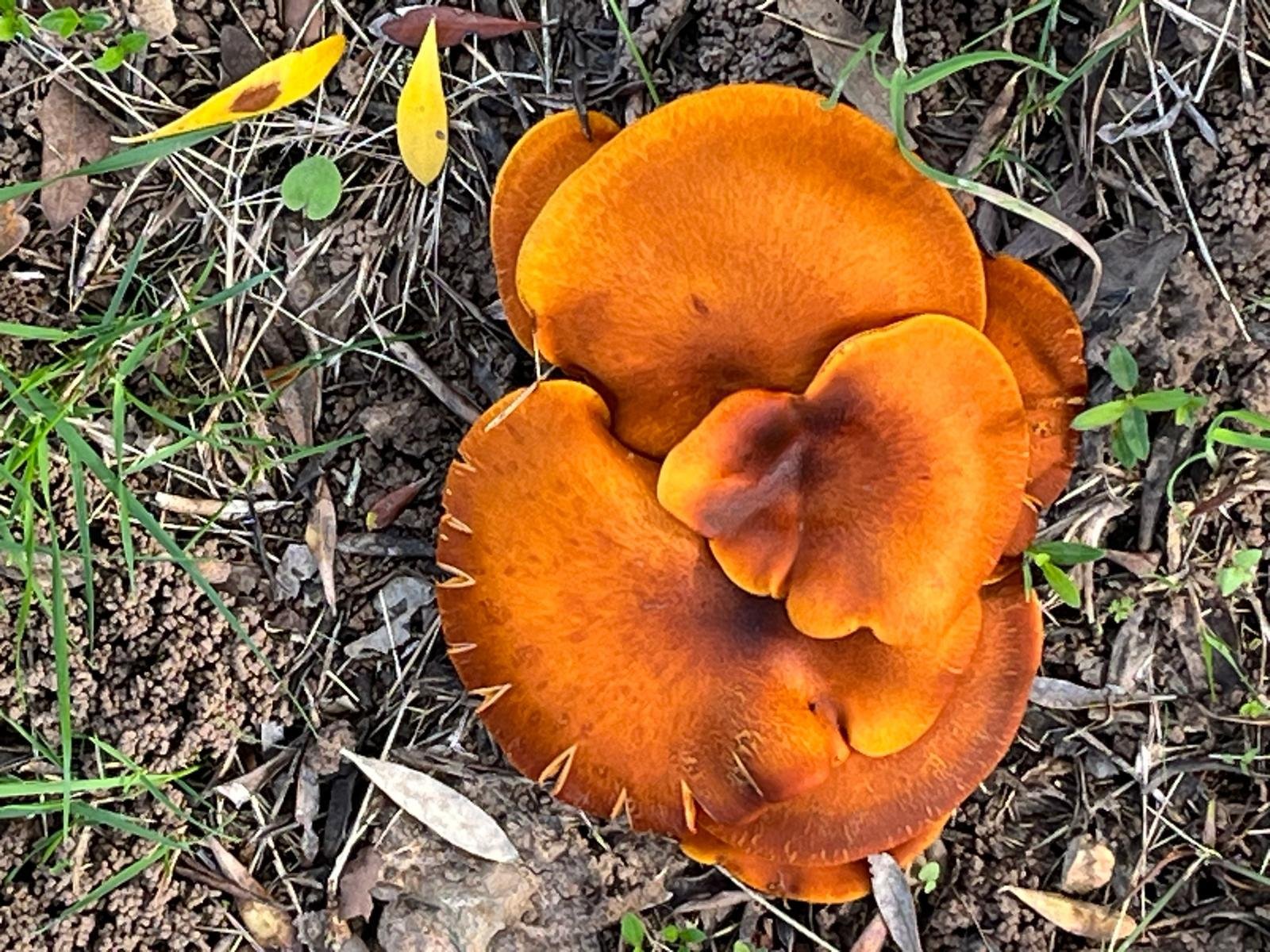 WhatsApp Image 2025-02-07 at 19.45.06 (2).jpeg