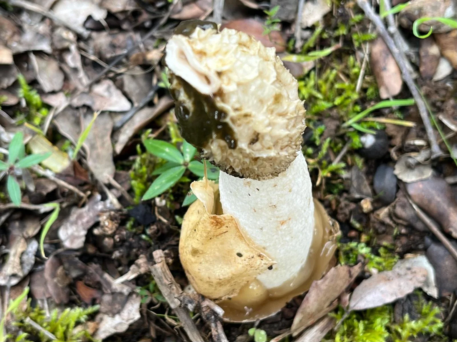 WhatsApp Image 2025-02-07 at 19.45.06.jpeg