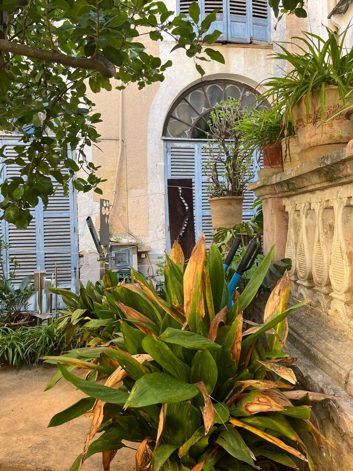 WhatsApp Image 2025-09-22 at 09.36.47 (2).jpeg