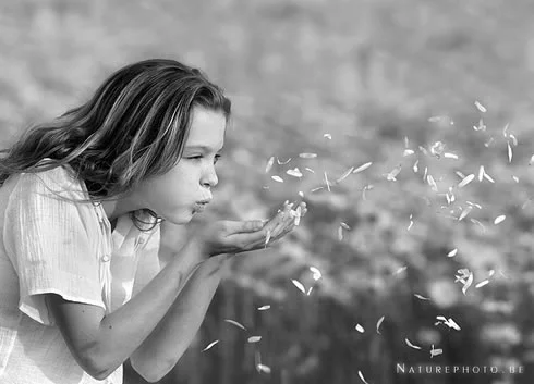 
Scattering Blessings  