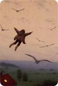 
Do You Remember How to Fly?  