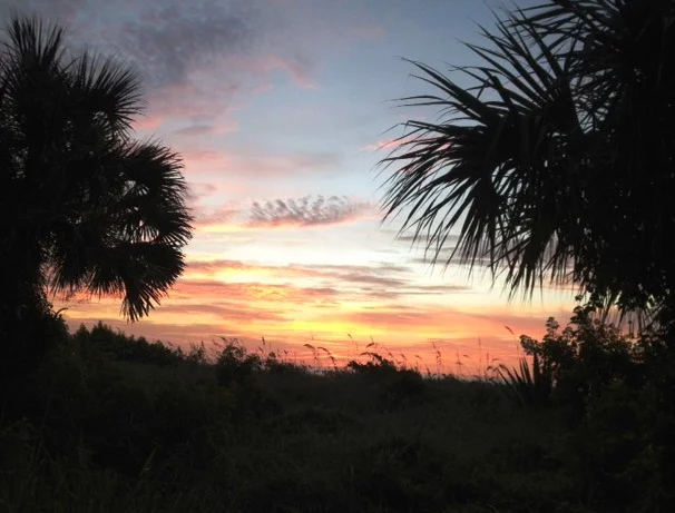 
Creation: The Poetry of God  