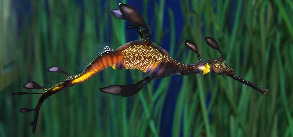 
The Wonder of It All  