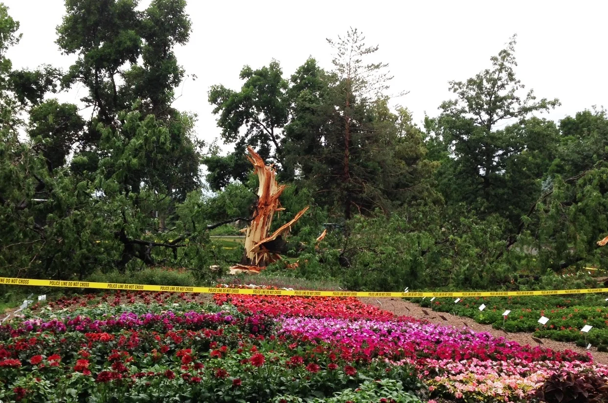 
Like a Bolt of Lightning  