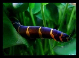 
Come Out, Come Out, Wherever You Are: Guest Post by Stephanie Reeves  