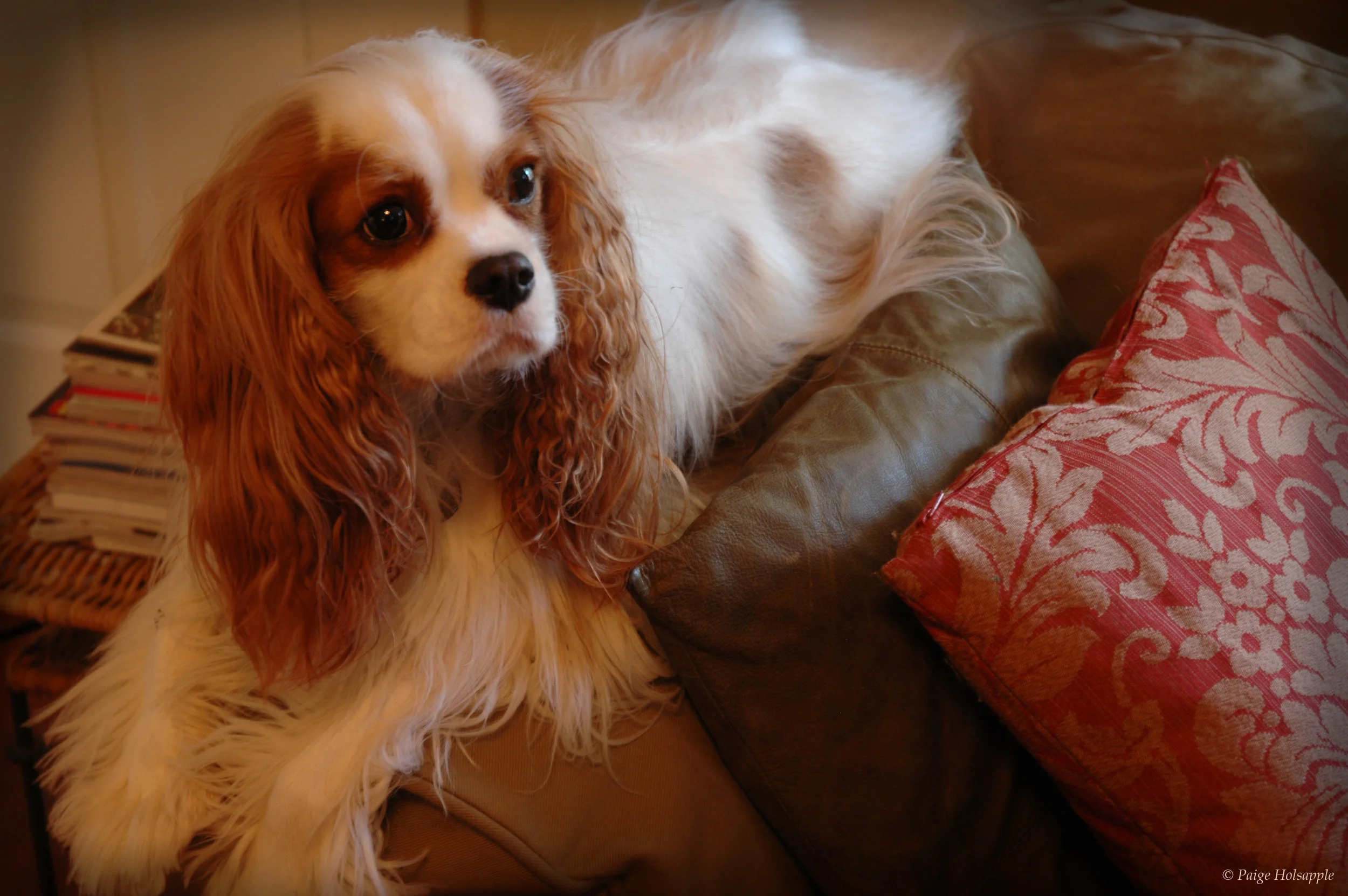 
Missing Owen: Guest Post by Leigh McLeroy  