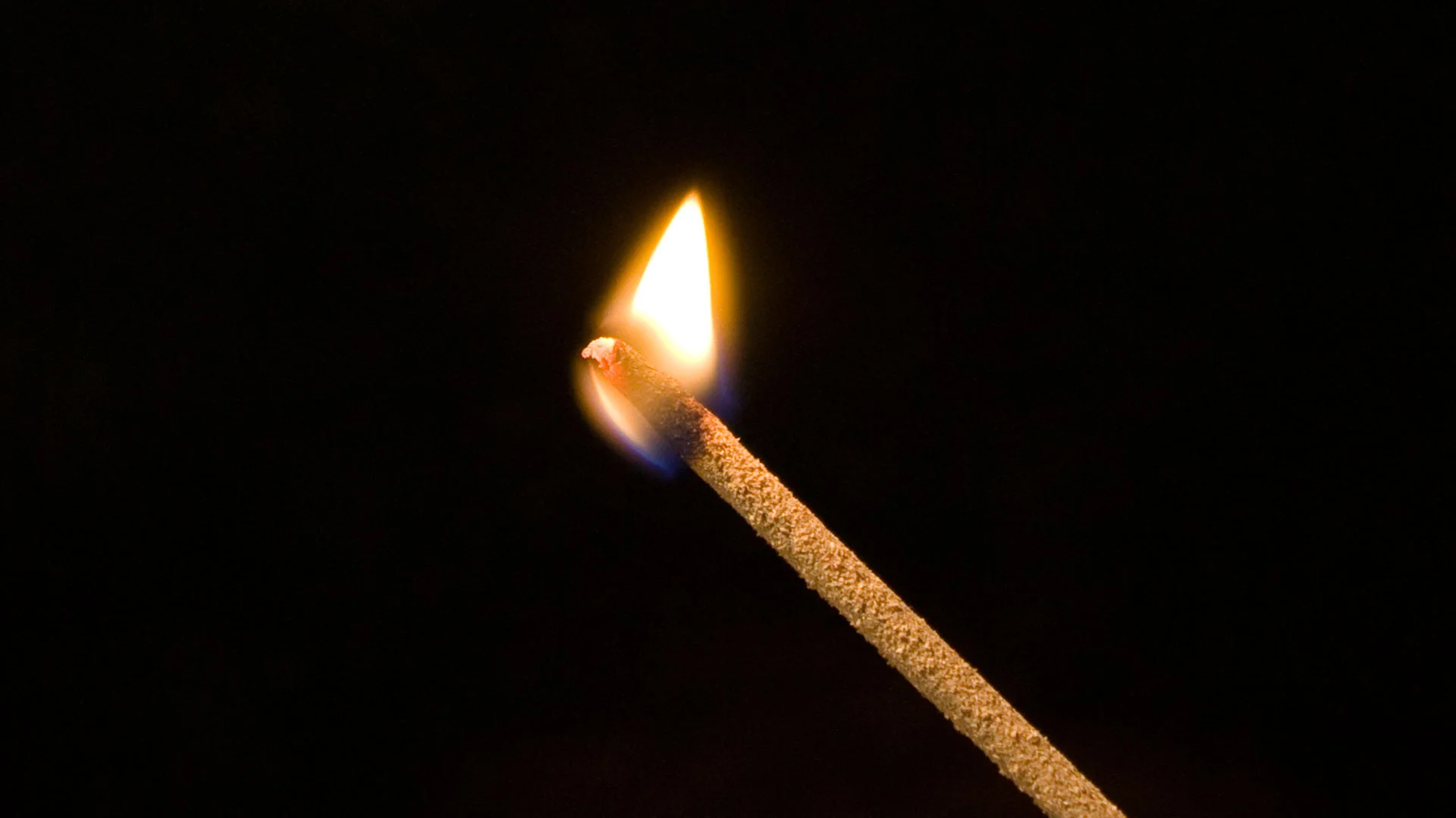 
Do You Really Want to Play with Matches?  Guest Post by Dayle Rogers  