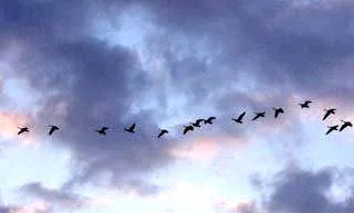 
A Problem with Idolatry  