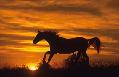 
Breaking Life Bondages  