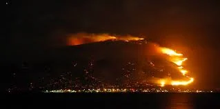 
The 10 Most Shared Posts on Kindling in 2013  