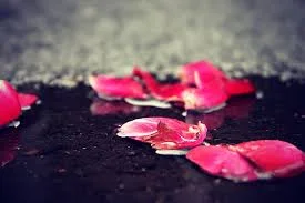 
Loving a Prodigal: This for That or Unconditional?  