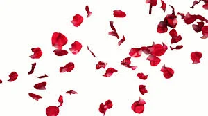 
Living Out 'Love as Jesus Loved'  