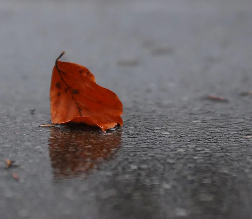 
Words of My Life 6:  Unworthy  