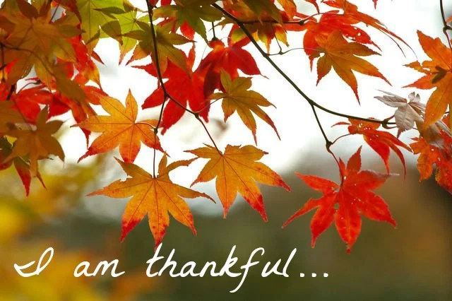 
Words of My Life: Thanksgiving 1  