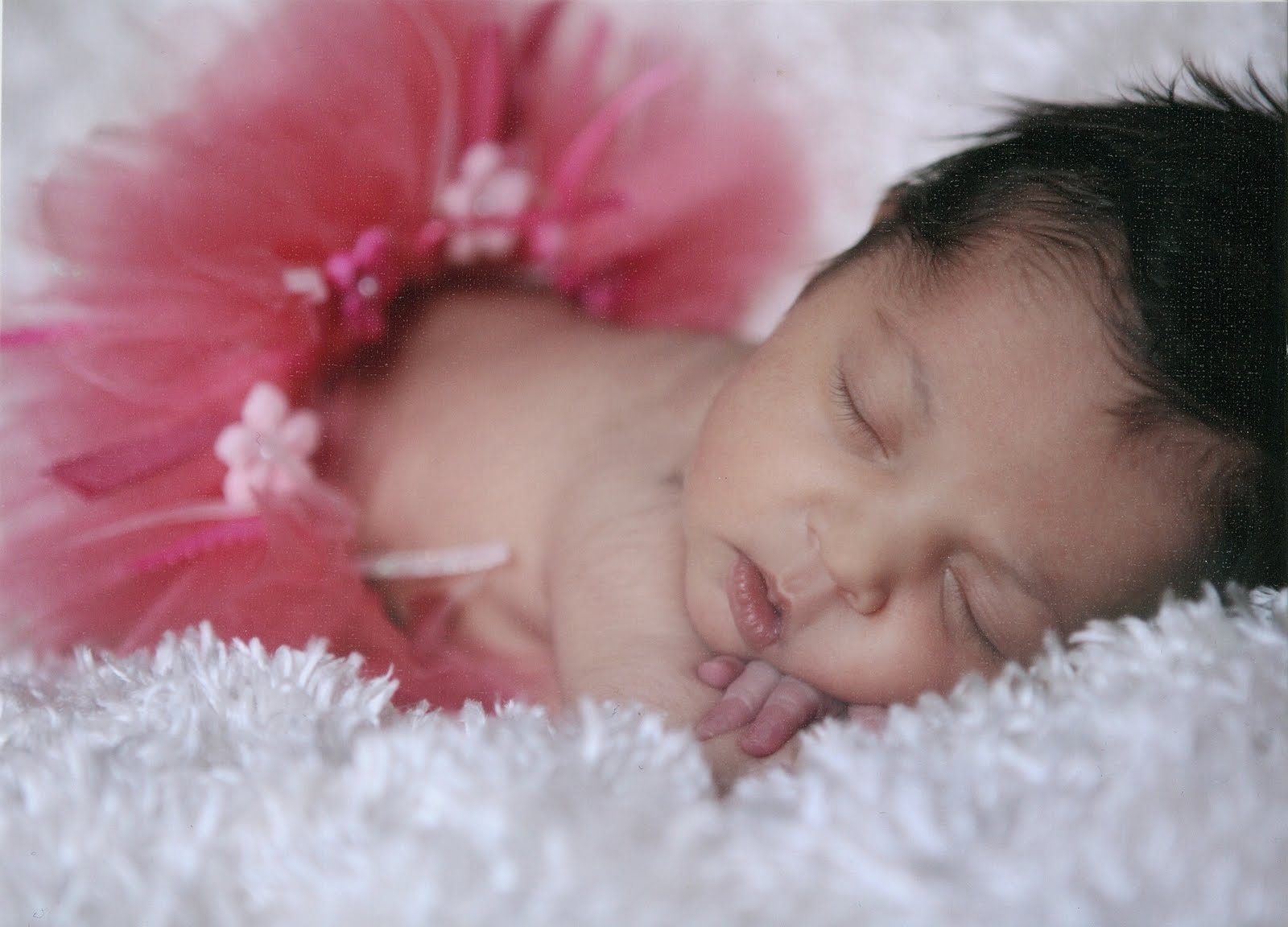 
On the Day You Were Born: Guesting at Bronwyn Lea  