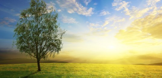 
Trust: The Spirit of God  