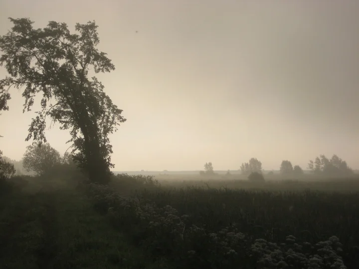 
Trust:  The Proof Is Gratitude  