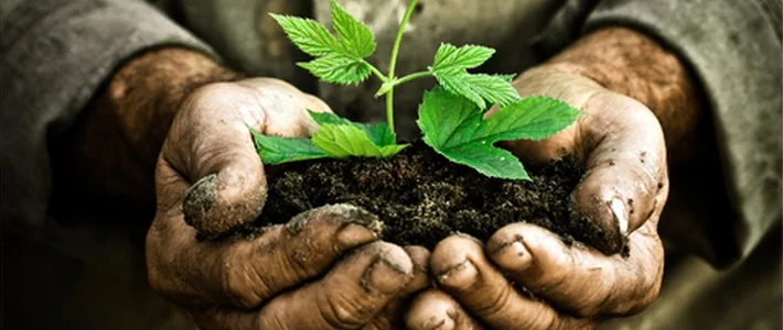 
Words of My Life: Steward  