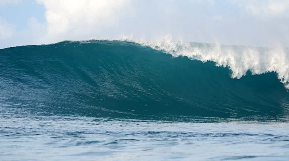 
Trusting God When His Gifts Are Challenging--guesting at Meadow Rue Merrill  