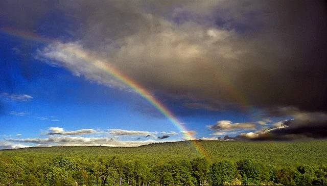 
Promise Keeper--Your Prayer Has Been Heard  