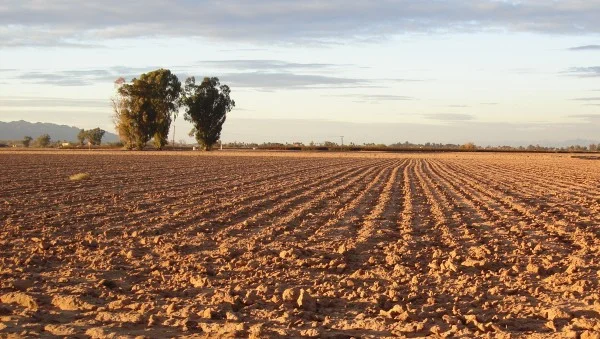 
What to Wear as a Child of God: Patience  