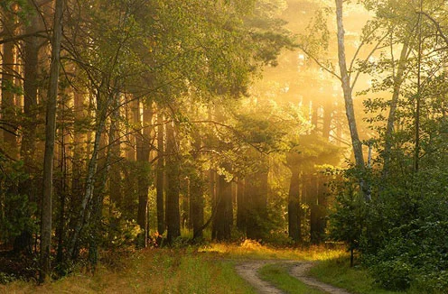 
Called by God: Receiving and Responding  