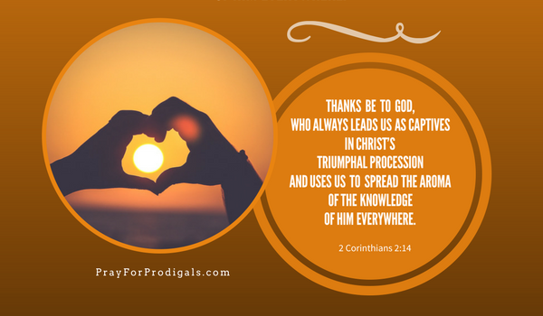 
Prodigal Prayer Day: So How Do We Go Forward?  