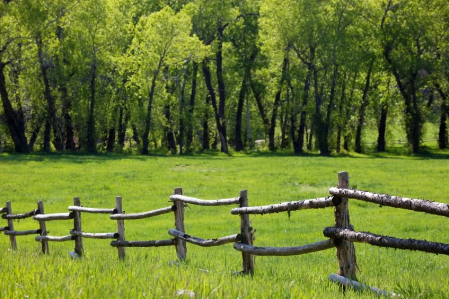 Loving a Prodigal: Boundaries with Love and Grace  