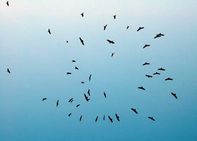 
The Ways of the Enemy: Counterfeit-The Way  