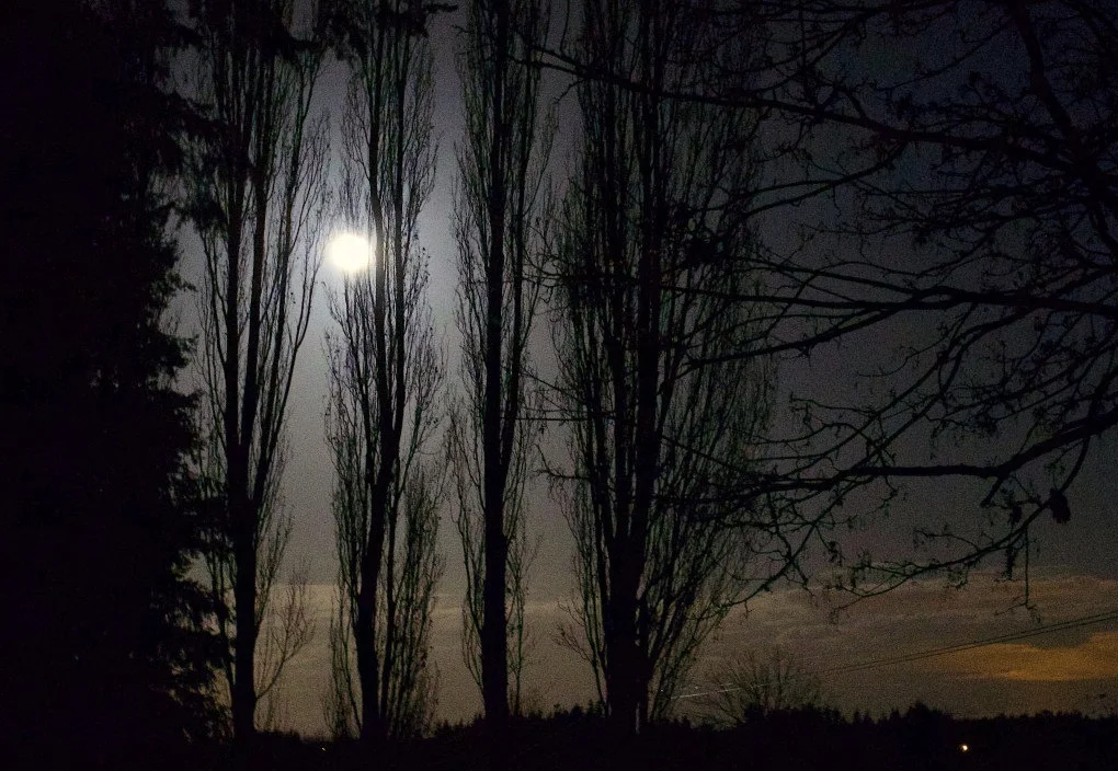 
God Is Happy for Us to Regift His Grace Gift Part 2  