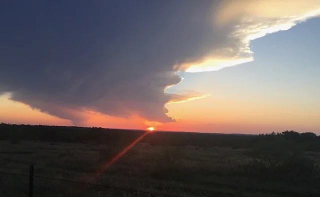 
We Prayed for Prodigals--Now What Do We Do?  