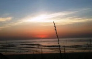 
From Redbud Post: When You Love a Prodigal--Turning Curses into Blessings  