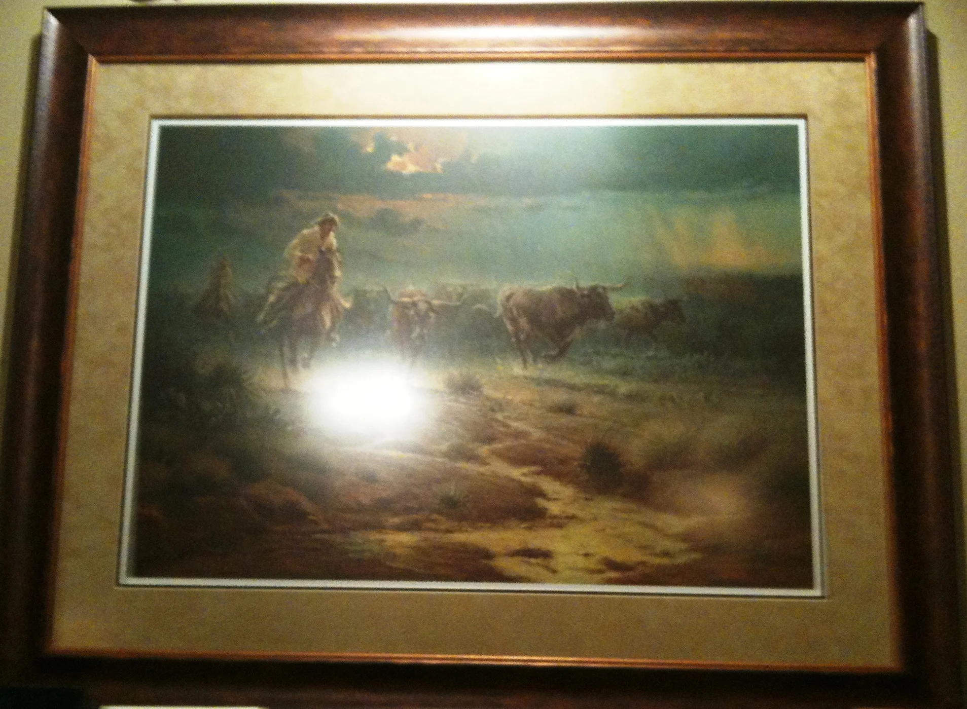 
Displaying the Splendor  