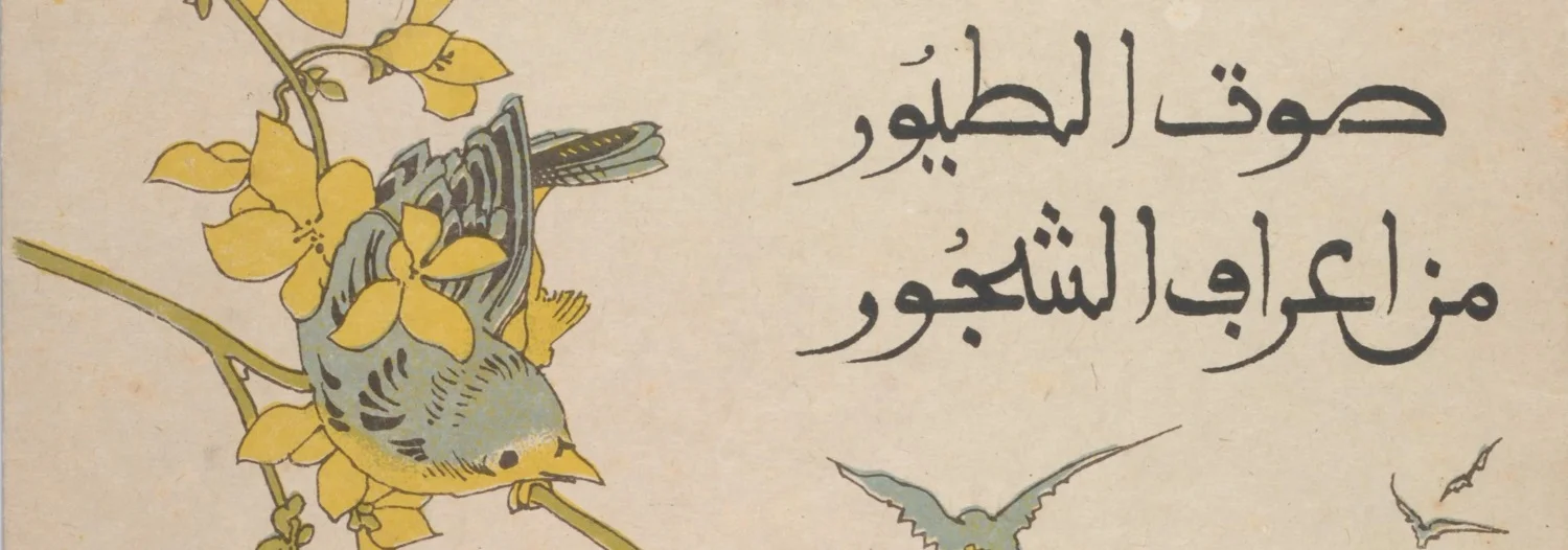 
Kingdom Women: Using the Gifts God has Given by Sus Schmitt  