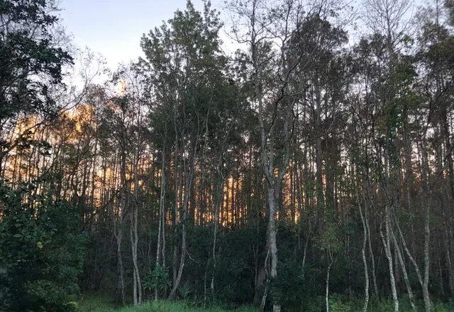 
The Wilderness Is for You and Me Too  