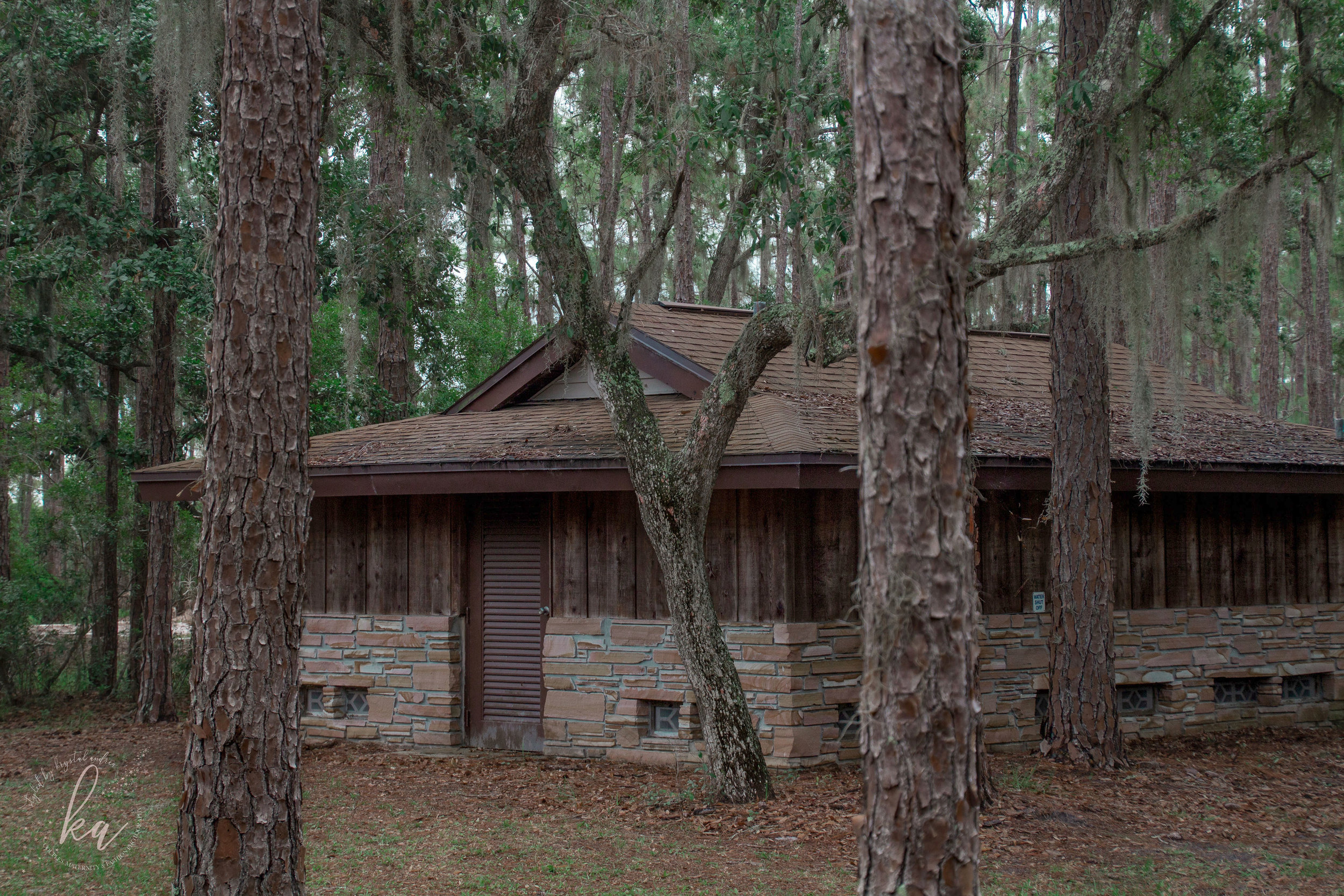 Treasures from the Wilderness: Never Give Up  