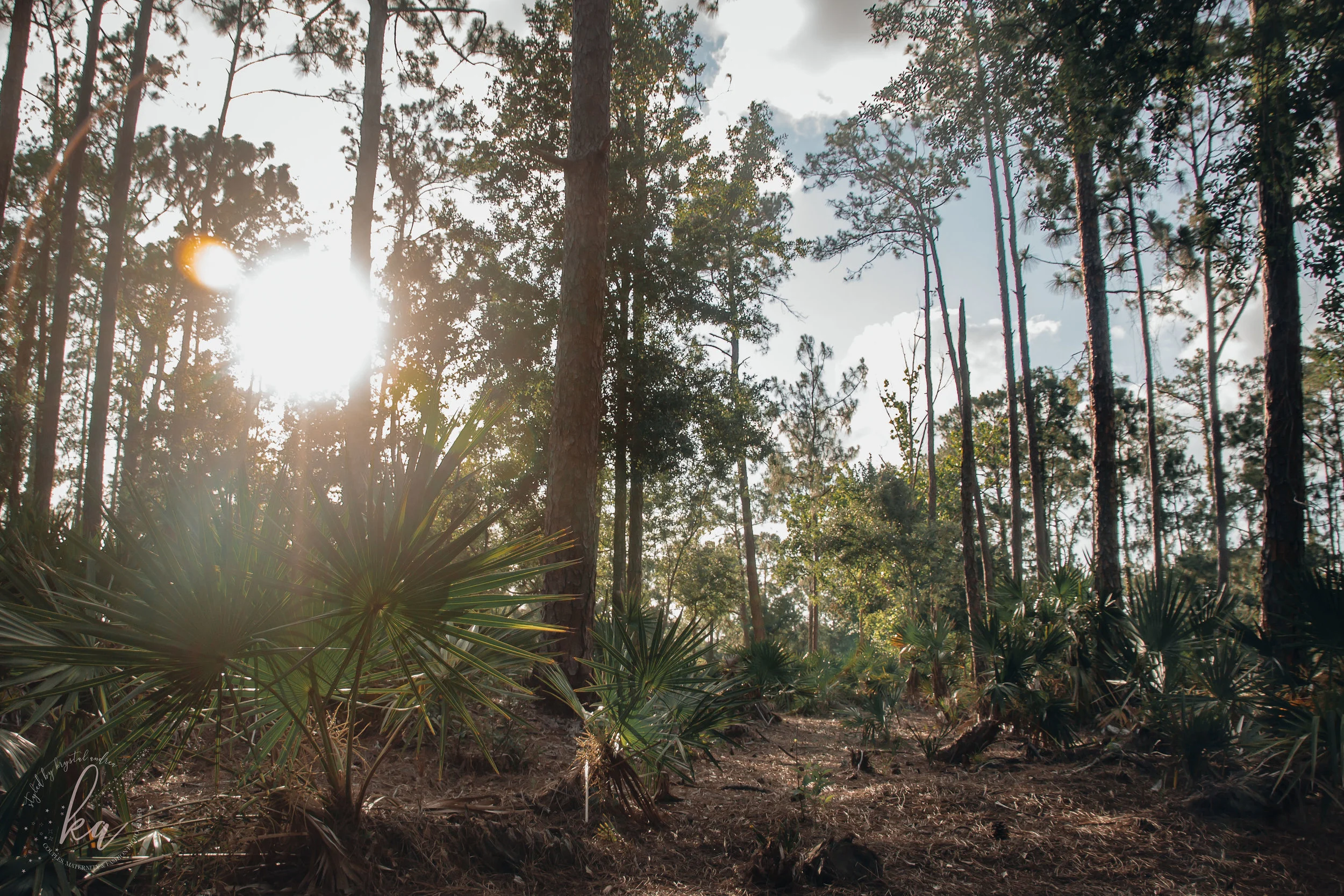 Treasures from the Wilderness: Gratitude  