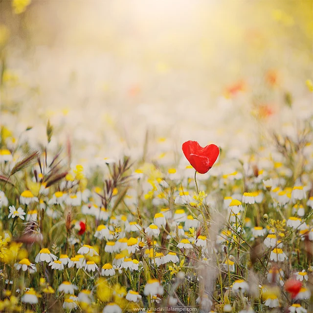 wandering-heart.jpg