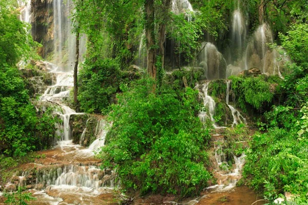 gorman falls