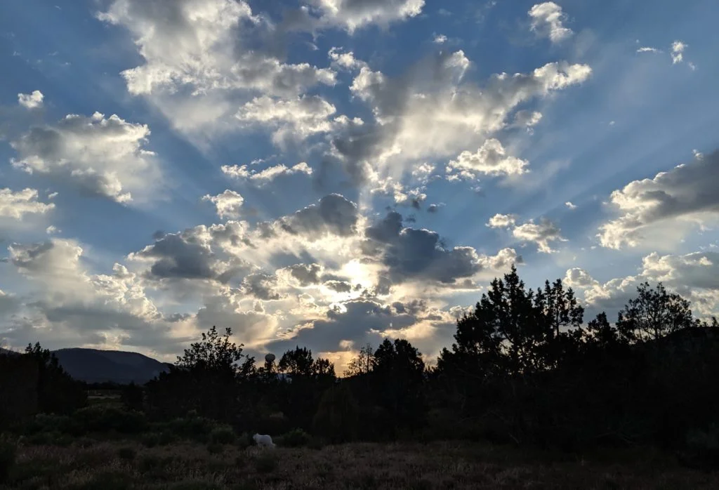 The Beauty of It—Guest Post by Susan Burleson