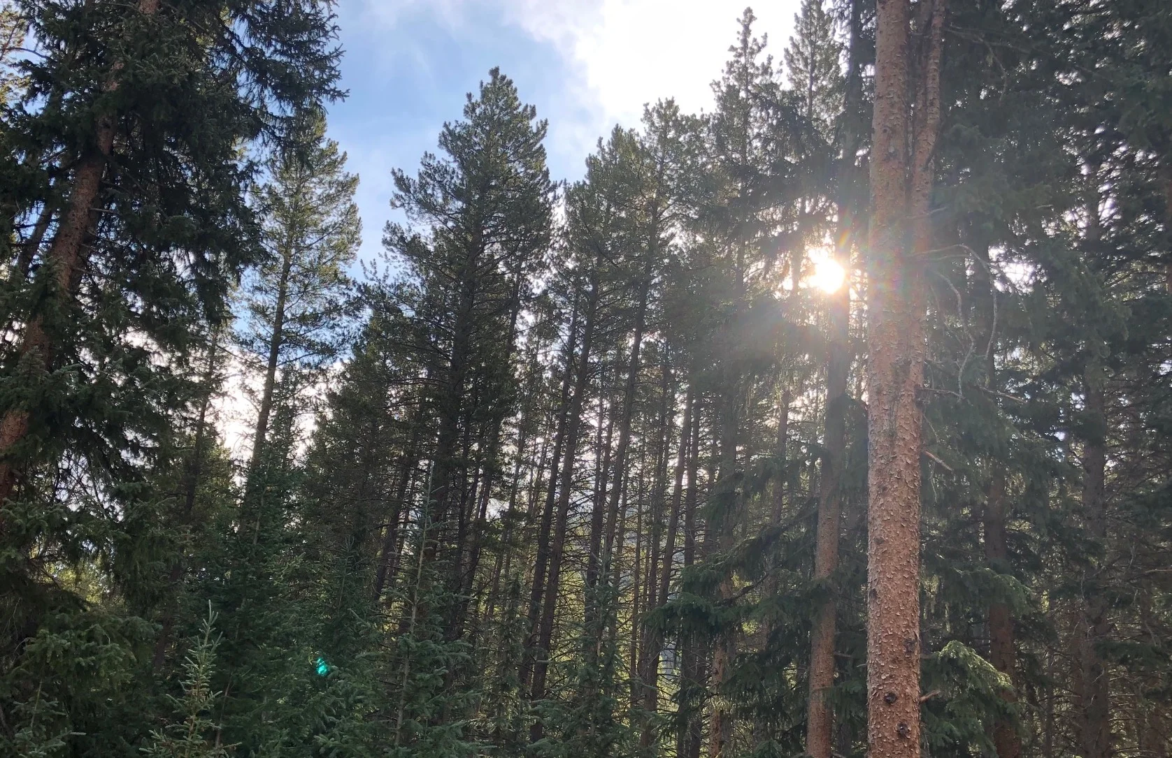 A Closer Walk with Christ Part 2 by Steve Douglass
