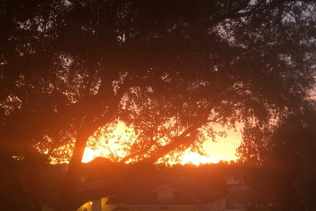 On Launching a Book: Giving and Selling--Yourself