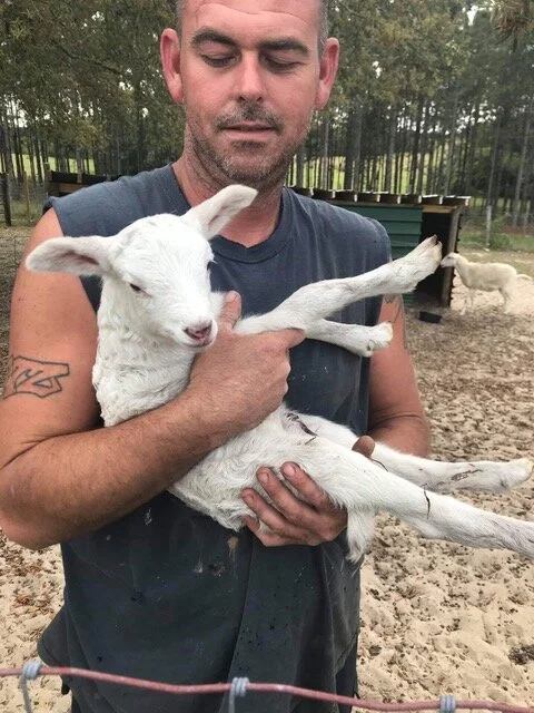 Prodigal Prayer Day:  3&amp;4. The Door &amp; The Shepherd