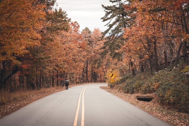 Photo by Zach Reiner on Unsplash
