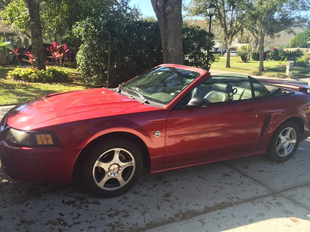 Entrusted: The Treasures God Has Given Us