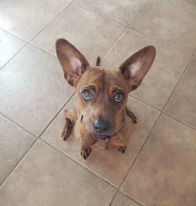 Learning to Listen: 10 Questions I Love to Ask